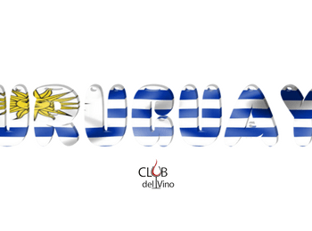 Vinhos do Uruguai - Grandes Variedades de Vinho - America Latina