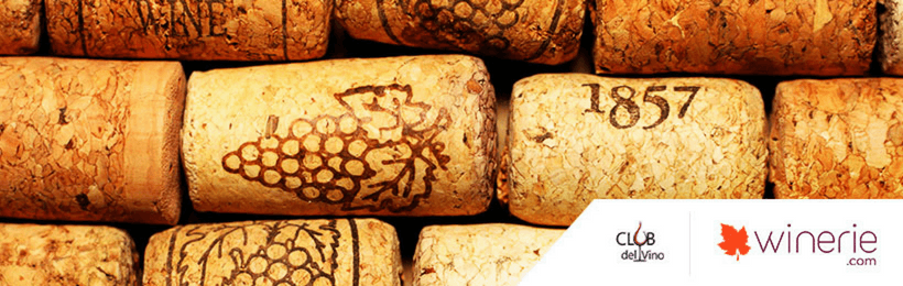 Rolhas de Vinho A História desde o Sobreiro a Garrafa