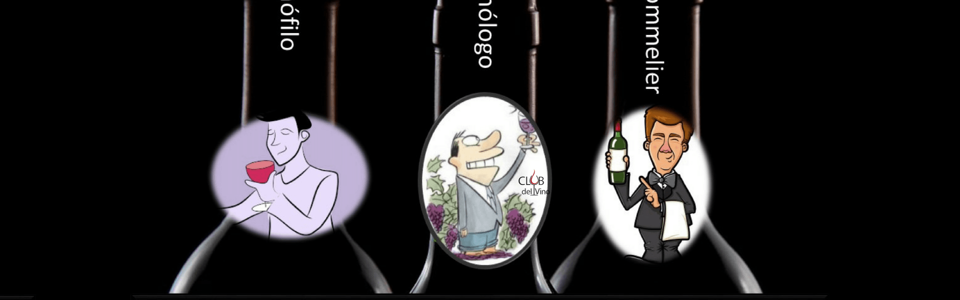 Sommelier Enófilo Enólogo - qual a diferença