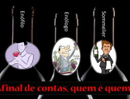 Sommelier Enófilo Enólogo - qual a diferença