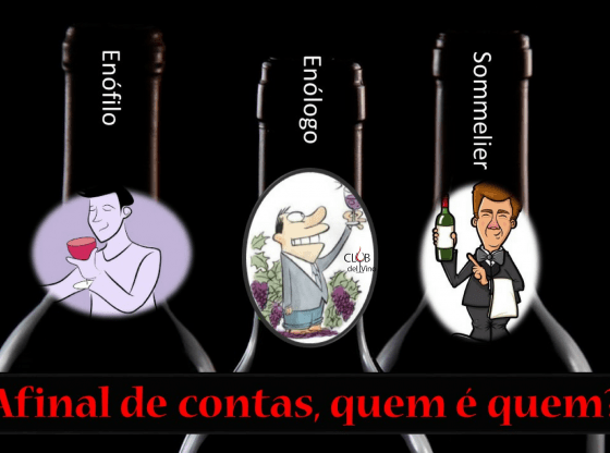 Sommelier Enófilo Enólogo - qual a diferença