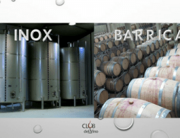 fermentação vinho tanque inox barrique