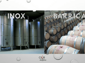 fermentação vinho tanque inox barrique