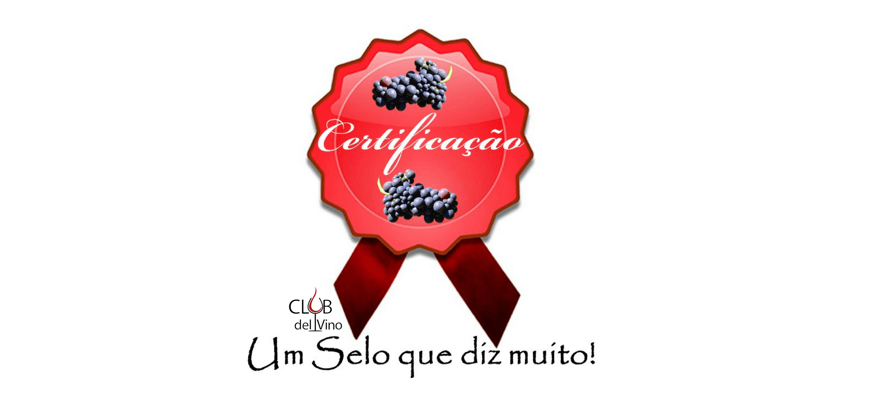 Featured image of post Certificado Selo De Qualidade Png