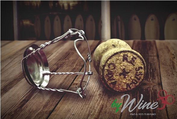 O que o símbolo significa nas rolhas de vinho espumante