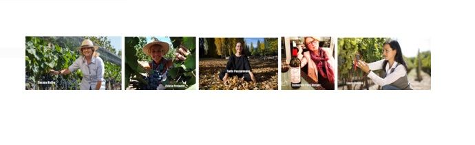 Vinhos argentinos feitos por mulheres