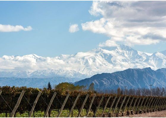 Mendoza, aos pés da Cordilheira dos Andes