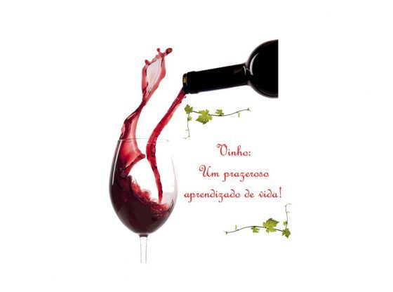 paixão por vinhos