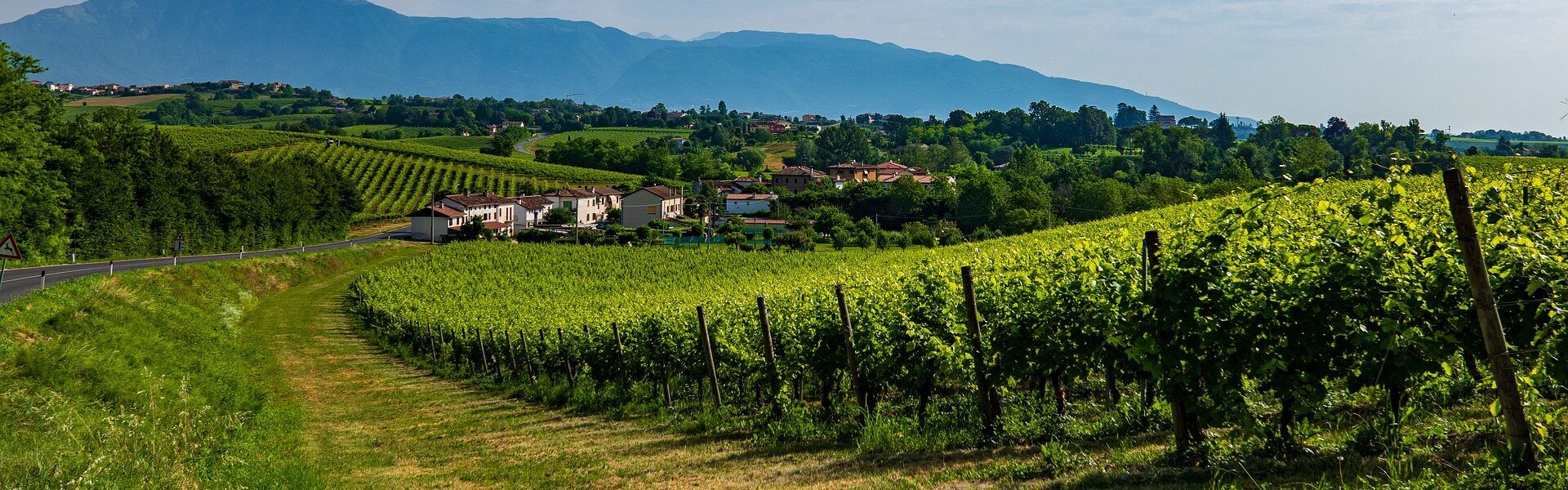 prosecco del veneto