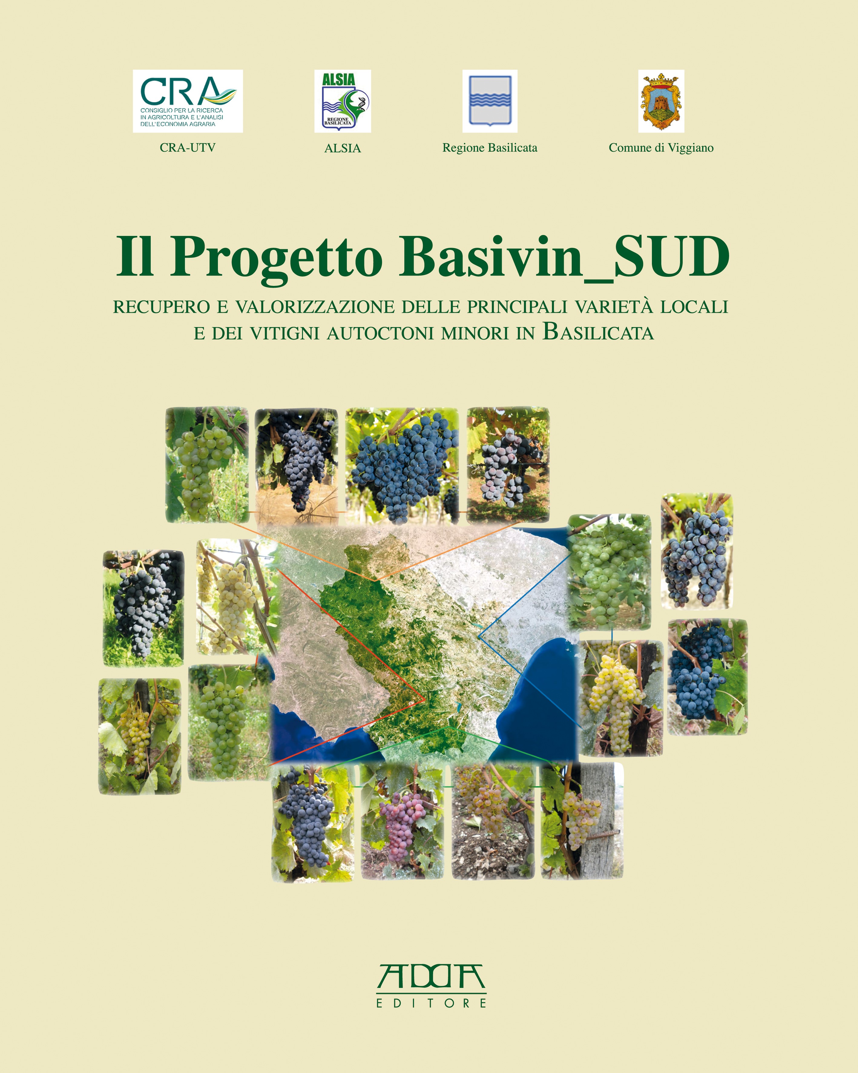 Copertina libro Basivin Sud