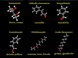 aromi del vino e molecole