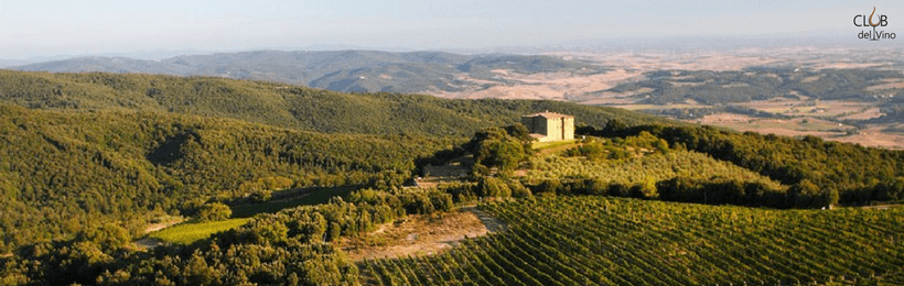 Perché il Brunello di Montalcino è così popolare