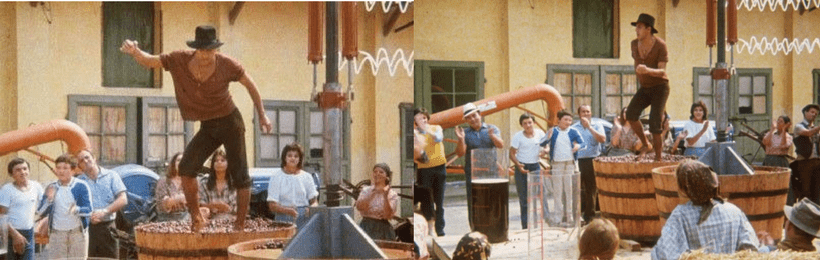 Il Bisbetico Domato