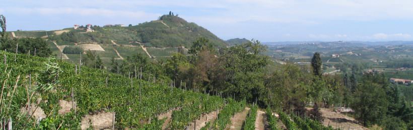 macchina per produzione di vino naturale