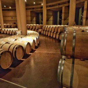 botti nelle cantine Antinori