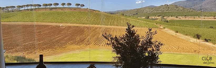 cena sotto le stelle alle Cantine Antinori