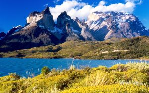 Vitigni delle Ande Cilene