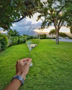 un calice di vino delle cantine Antinori