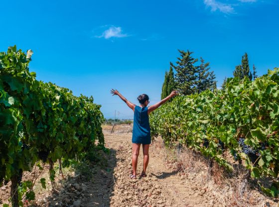 Strada-vino-Sicilia