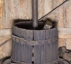 Le Tecniche del Processo di Vinificazione