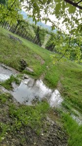 il ‘progno’ presso l’azienda agricola Antolini a Marano di Valpolicella