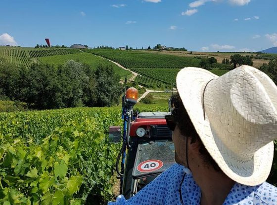 Vista tenuta di castelbuono carapace