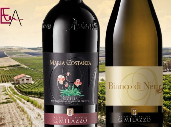 milazzo-vini-siciliani-biologici-ecco-dove-trovarli-online