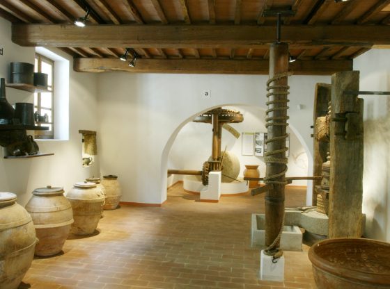 MOO Museo dell'Olivo e dell'Olio - Fondazione Lungarotti, Torgiano (PG) - sala IV.jpg