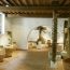 MOO Museo dell'Olivo e dell'Olio - Fondazione Lungarotti, Torgiano - sala VI